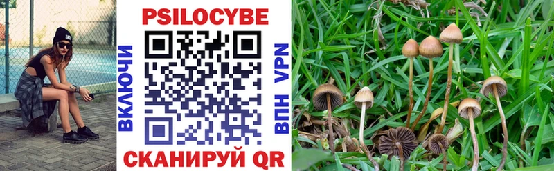 Псилоцибиновые грибы Magic Shrooms  магазин продажи наркотиков  Ярцево 